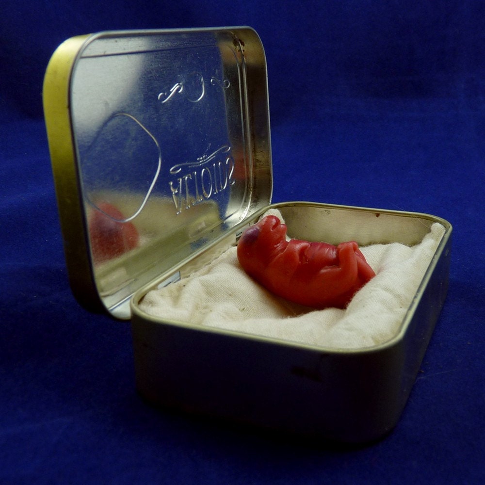 Baby Rat in Altoid Tin- Original Mixed Media Rodent Sculpture