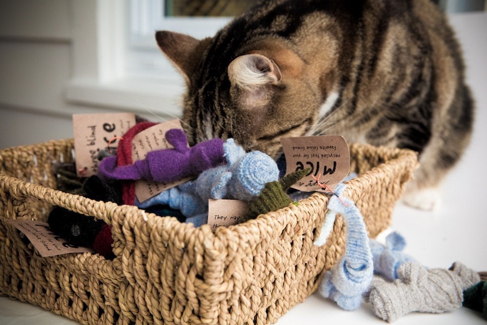 felted wool catnip mice