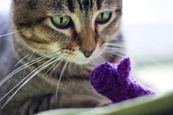 three blind mice eco friendly cat toys