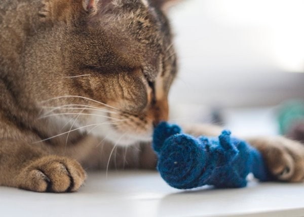 felted wool catnip mice (set of three)