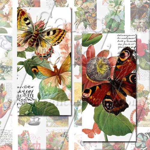 Butterfly Haven - Instant Download Digital Collage Sheet - 1x2 Domino Tile Size 844