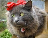 Cat Bow - Minnie Mouse Style