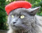 Mini Beret - French Chic Pet Beret Hand Felted out of Wool - Ruby Red