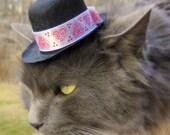 Valentine's Day Hat for Cats and Dogs -  Love is in the Air - Doodle Hearts