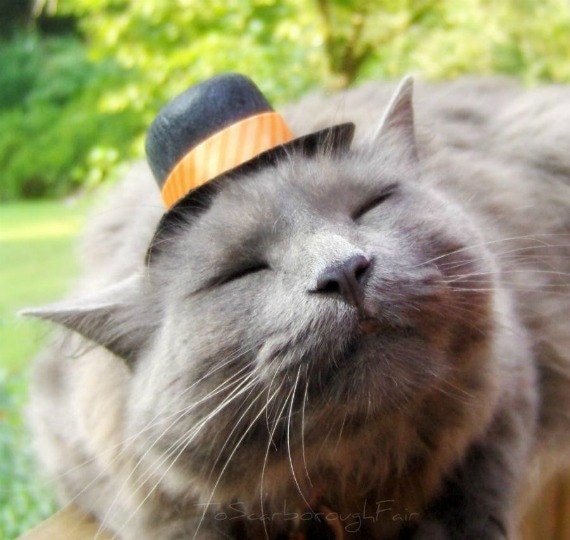 Top Hat for Cats - Thanksgiving Hat - Harvest Joy - Tangerine Tango