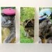 To Scarborough Fair Magnets - set III