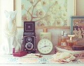 Living in the now (5x7 Unframed Original Fine Art Photograph)