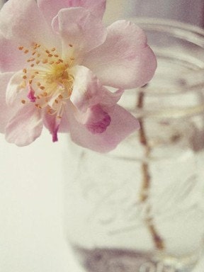 What you are (8x10 Unframed Original Fine Art Photograph)