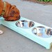 Three Bowl Pet Feeder