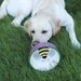 Bumble Bee Hand Painted Dog Food Bowl