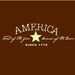 SALE- America Since 1776 Rustic Vinyl Wall/ Signboard Decal- Buy 2 Get 1 Free