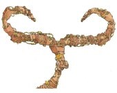 Longhorn