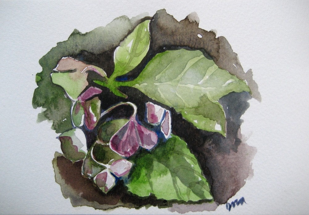 Original Watercolor Floral Painting 5x7 - Hydrangea Leaves