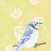 Art Print Blue Jay (Gold Leaves)