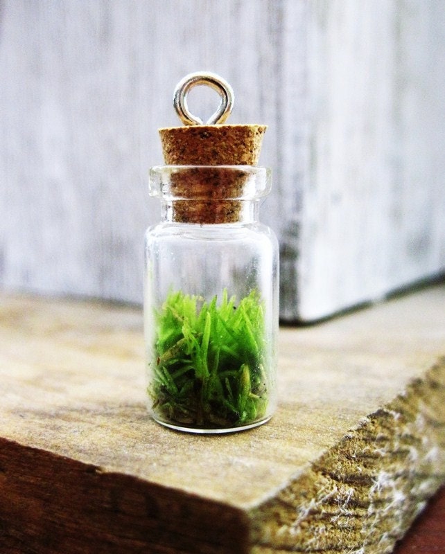 Live Moss Mini Terrarium Pendant - Necklace Charm with Sterling Silver Hook