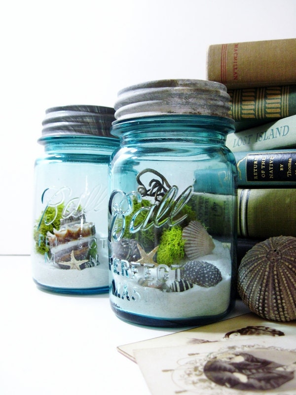 Antique Mason Jar Terrarium: My Beach Wedding
