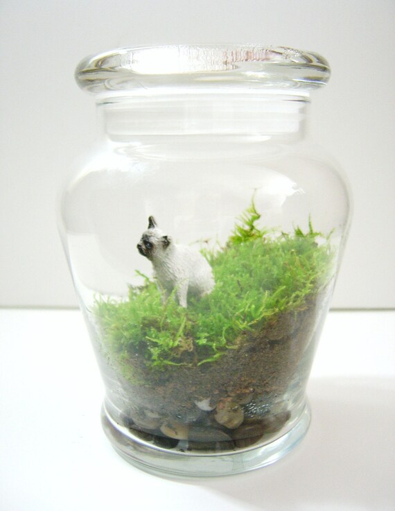 Kitty Cat Terrarium by DoodleBirdie on Etsy