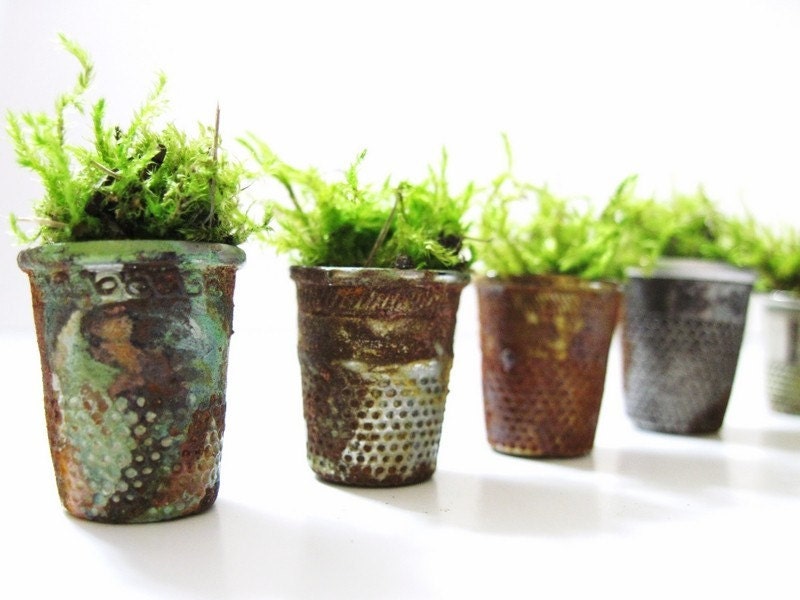 Thimbelina's Miniature Garden - Vintage Sewing Thimble Planter