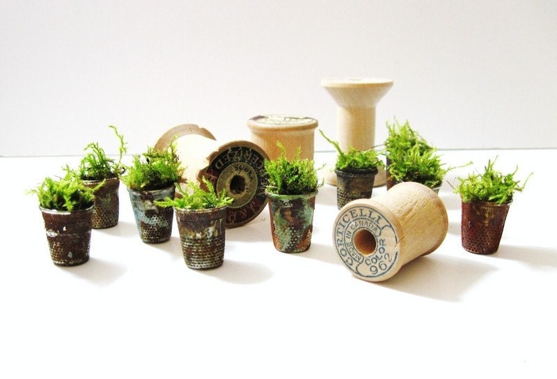 Thimbelina's Miniature Garden - Vintage Sewing Thimble Planter