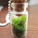 Plant Terrarium Charm for Necklaces, Bracelets, or Keychains