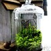 The Garden Gate Vintage Glass Terrarium