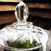 The Garden Gate Vintage Glass Terrarium