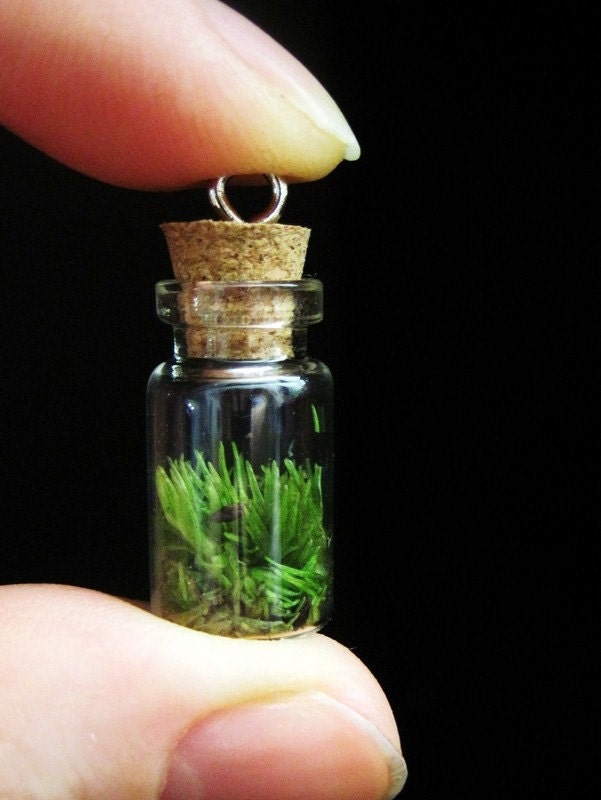 Plant Terrarium Charm for Necklaces, Bracelets, or Keychains