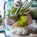 Antique Mason Jar Terrarium: My Beach Wedding