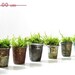 SALE THRU MONDAY Set of 6 Vintage Thimble Planters with Live Moss