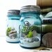 Antique Mason Jar Terrarium: My Beach Wedding