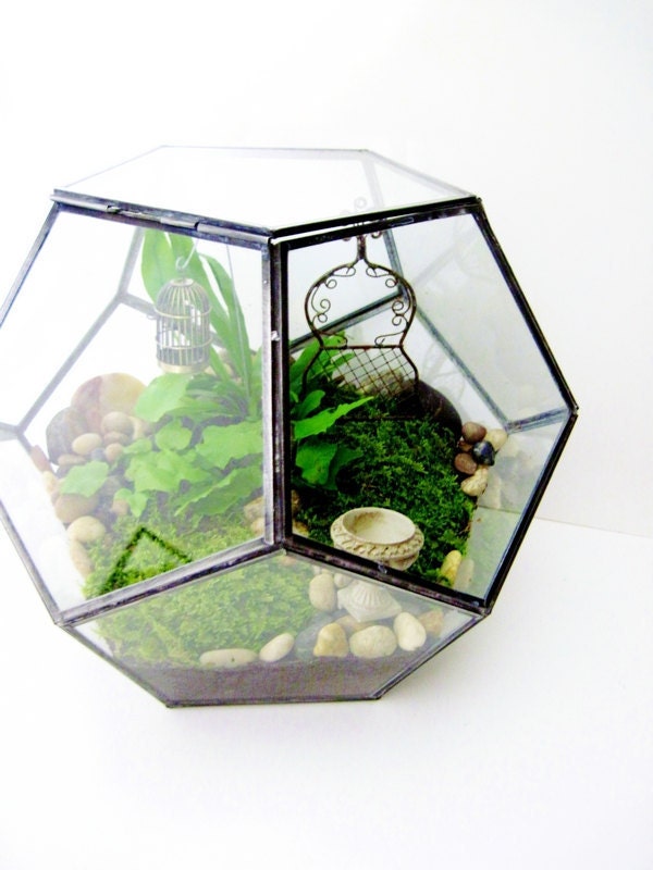 Geometric Terrarium - Large 12"