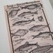 Vintage Fishing Print Greeting Card