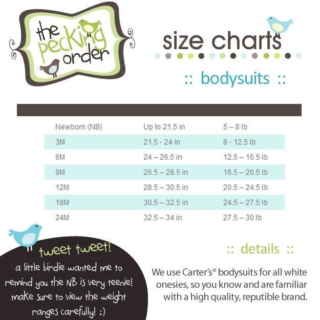 personalized birth announcement onesie - unique new baby gift - add birth stats