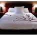 ShaNickers Cherry Blossoms Handpainted Duvet Cover and Shams- Queen Size