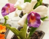 Miniature Polymer Clay Flowers Supplies Orchids, White Cattleya with purple lip 1 pcs
