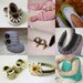 You choose any 5 patterns (crochet and knitting patterns)