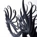 CUSTOM - Mussorgsky Ring with Soft Black Spikes
