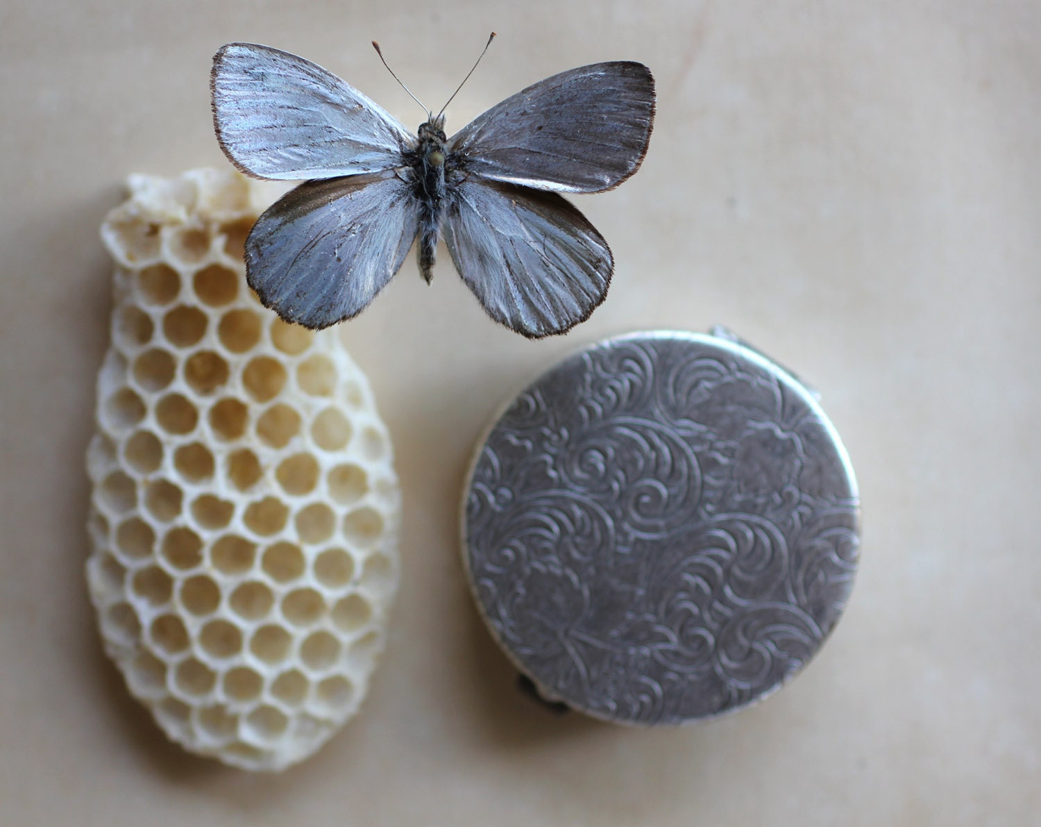 Gracing the Dawn Solid Natural Perfume - An Epheremal Moment in Nature Captured in an Antique Finish Compact