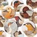 1 Inch Circles - Game Birds - Digital Collage Sheet 865 - Buy THREE Get One FREE