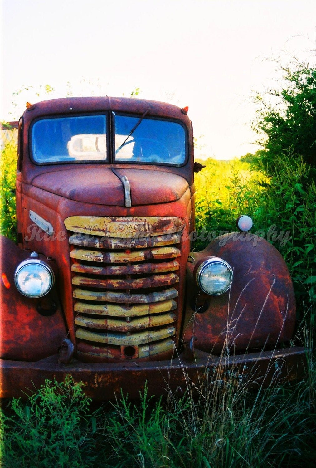 Traveling by GMC Truck  - 11x14 Art Photography Print