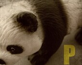 Nursery Art, Panda Bear, Ready to Hang Photo Block, 6"