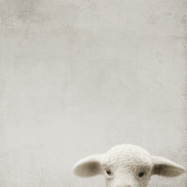 Nursery Art, Lamb, Ready to Hang Art Block, Sale 50% Off, 8"