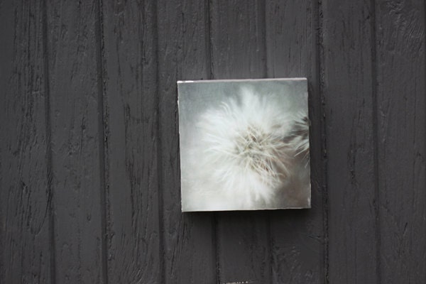 Winter, Photography, Slate,Grey, with Encaustic mounted on Birch Wood Block, 6 inches