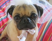 Wedding party - Dog or Cat VEIL - PET BRIDAL veil  for any size -Ships in 24hrs