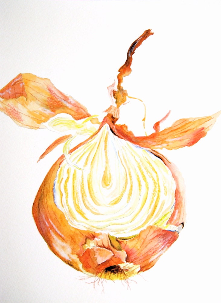 Onion Peeled - Original Watercolor Painting