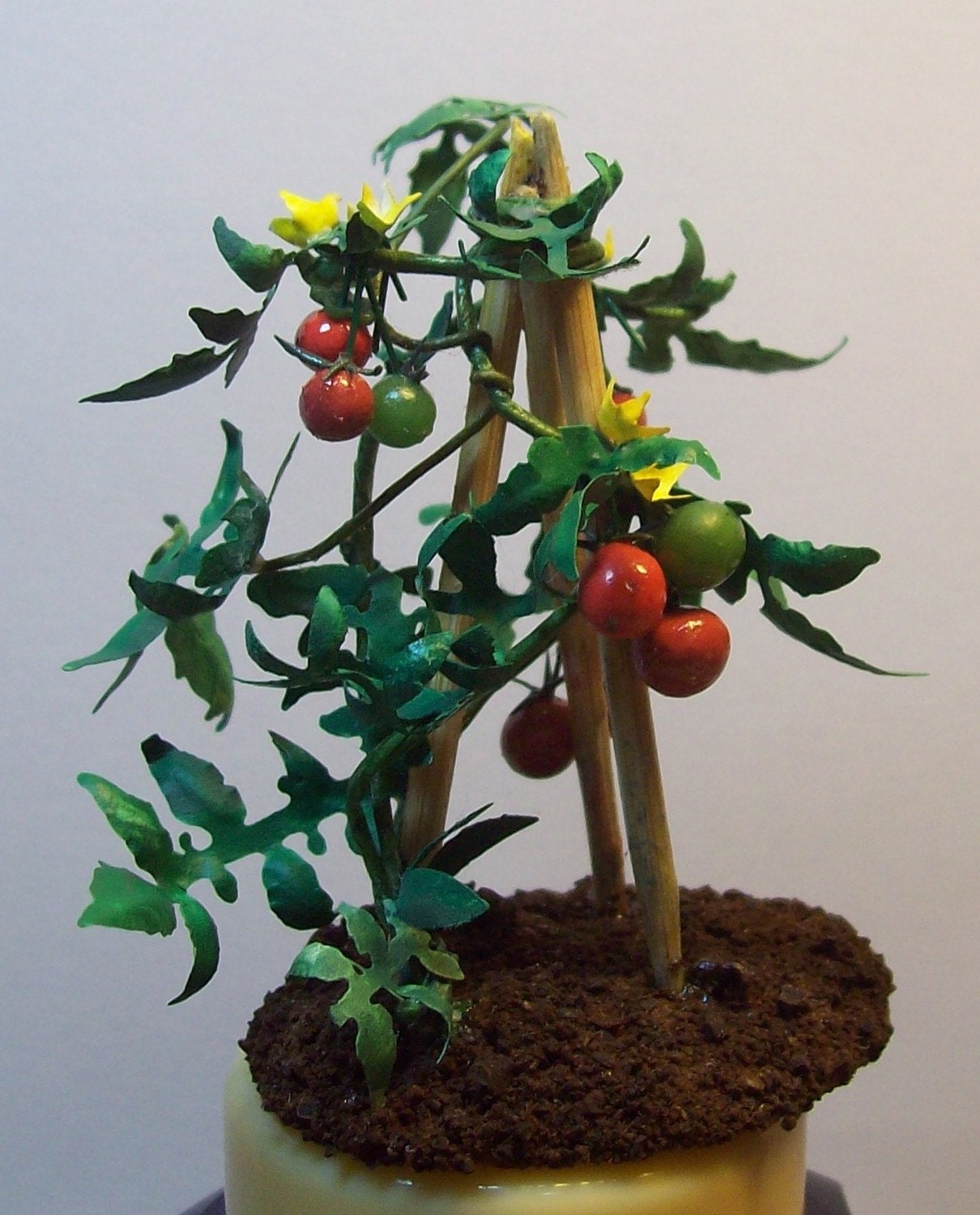 miniature tomato 1/12 scale, vibrant colour in your garden
