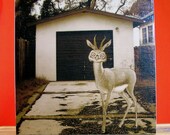 Animal Art Print, Sepia Tone,5x5 Wood Block, "Anybody Seen My Truck"