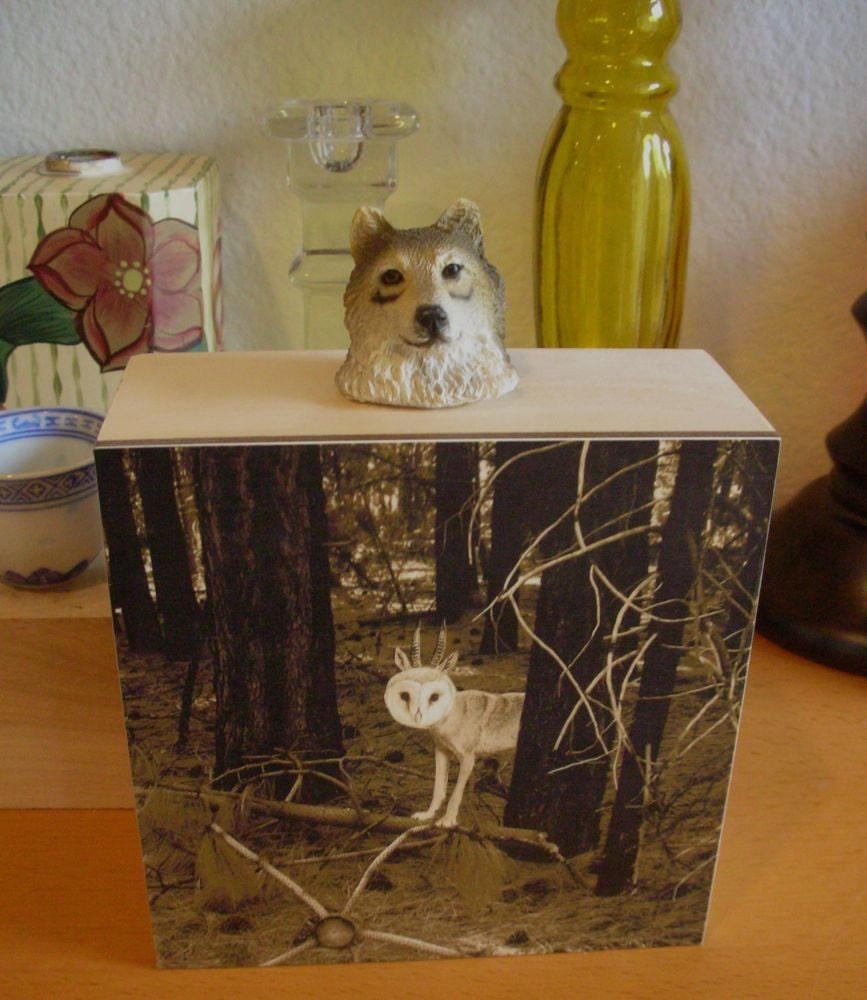 5x5 wood panel,mixed media object, Quirky WolfOwl In The Forest photo with wolf head