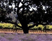 Oak and Lavender Fine Art Print 12x18