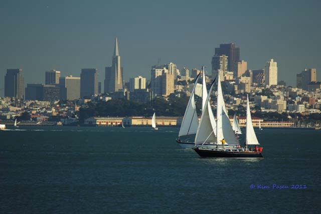 San Francisco Bay Sail Boats Fine Art Print 12x18